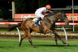 Vinaceous & Damian Lane, Moonee Valley 13 Dec 2019 Vinaceous & Damian Lane, Moonee Valley 13 Dec 2019